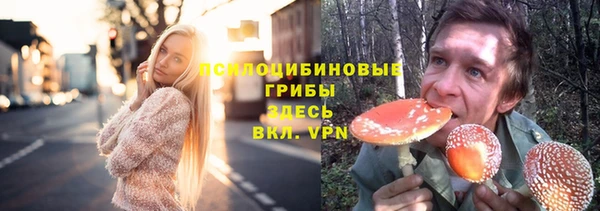 PSILOCYBIN Заволжье