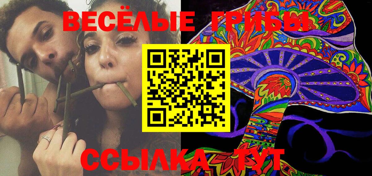 Псилоцибиновые грибы Psilocybine cubensis  Псилоцибиновые грибы Magic Shrooms  Вход с VPN  Ивантеевка 